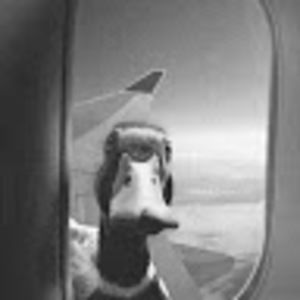 Meet your Posher, Ivan